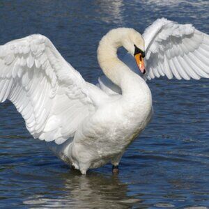 Meet your Posher, Karleigh